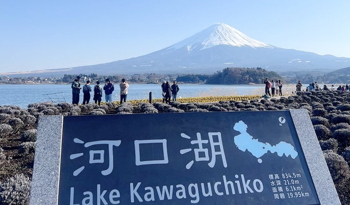Mt. Fuji Highlight Photo Spots 1 Day Tour from Tokyo