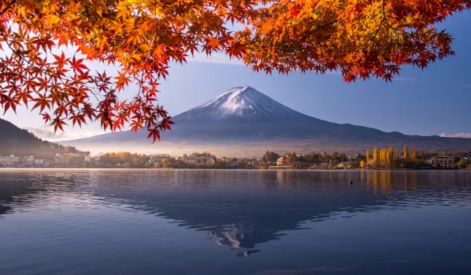 Mt. Fuji Signature Scenic Spots 1 Day Tour from Tokyo