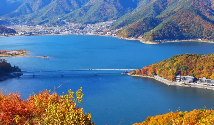 Mt. Fuji Signature Scenic Spots 1 Day Tour from Tokyo
