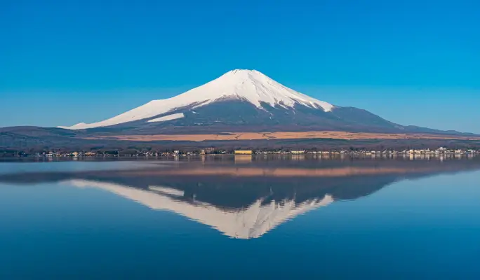 Mt. Fuji Signature Scenic Spots 1 Day Tour from Tokyo