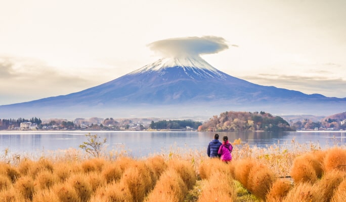 Mt. Fuji Highlight Photo Spots 1 Day Tour from Tokyo