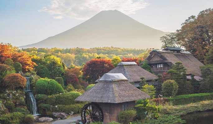 Hakone Ropeway & Pirate Ship & Oshino Hakkai 1 Day Tour from Tokyo