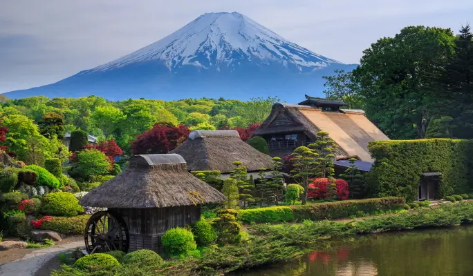 Mt. Fuji Signature Scenic Spots 1 Day Tour from Tokyo