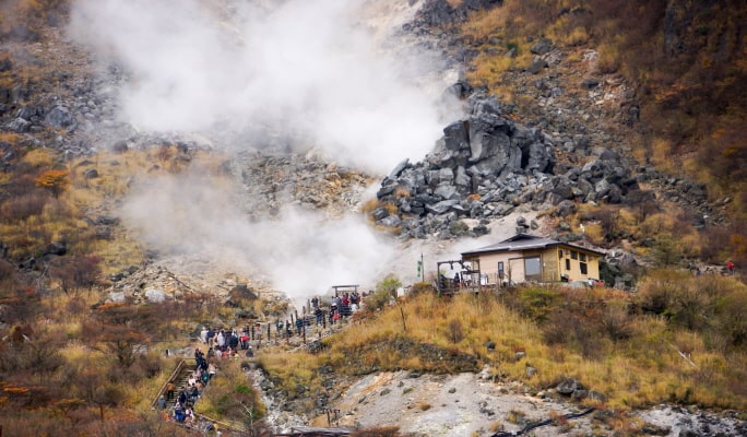 Hakone & The Open-Air Museum 1 Day Tour from Tokyo