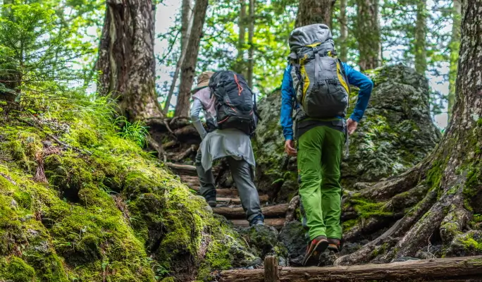 Mt. Fuji Hiking 1 Day Tour from Tokyo (5th to 7th Station)