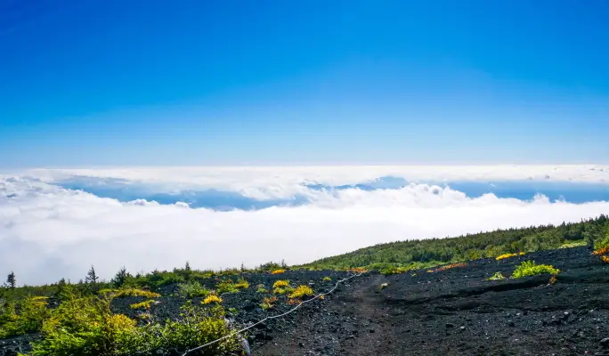 Mt. Fuji Hiking 1 Day Tour from Tokyo (5th to 7th Station)