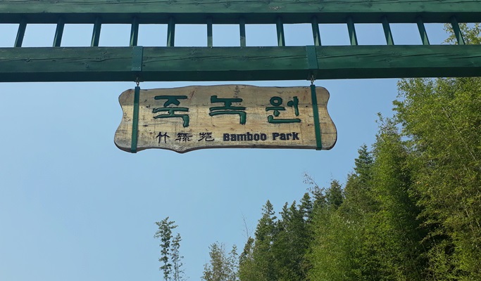 Damyang Bamboo Garden (Juknokwon) + Metasequoia Road + Meta Provence + Jeonju Hanok Village 1 Day Tour - from Seoul (~Oct)