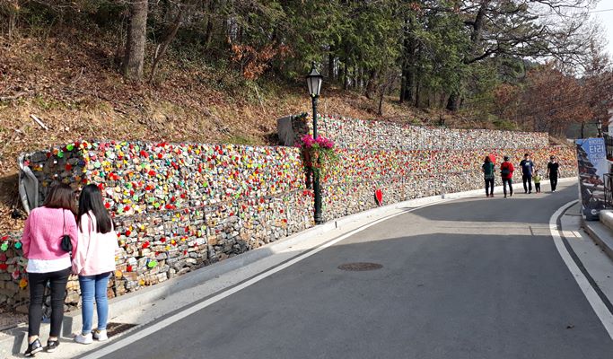 Damyang Bamboo Garden (Juknokwon) + Metasequoia Road + Meta Provence + Jeonju Hanok Village 1 Day Tour - from Seoul (~Oct)