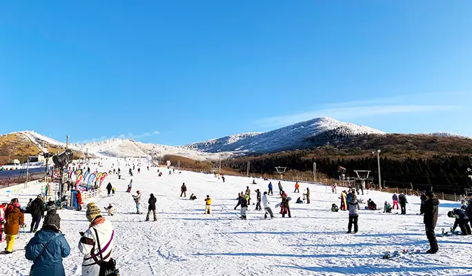 Kuju Forest Park Skiing Ground: 1 Day Ski/Snow Sled Tour - from Fukuoka