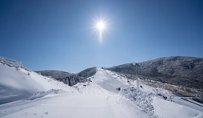 Kuju Forest Park Skiing Ground: 1 Day Ski/Snow Sled Tour - from Fukuoka