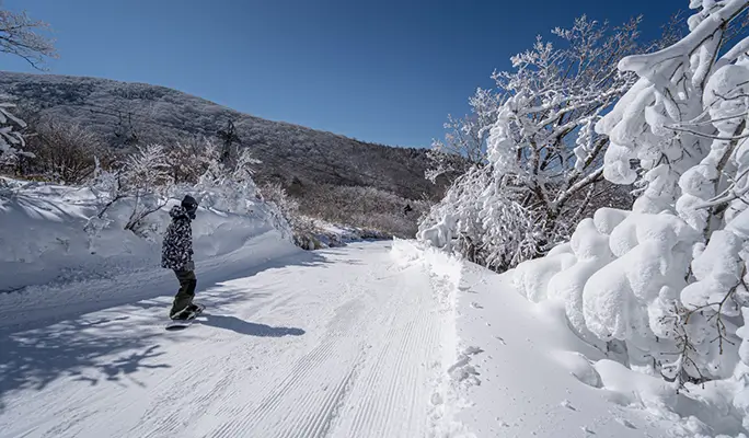 Kuju Forest Park Skiing Ground: 1 Day Ski/Snow Sled Tour - from Fukuoka