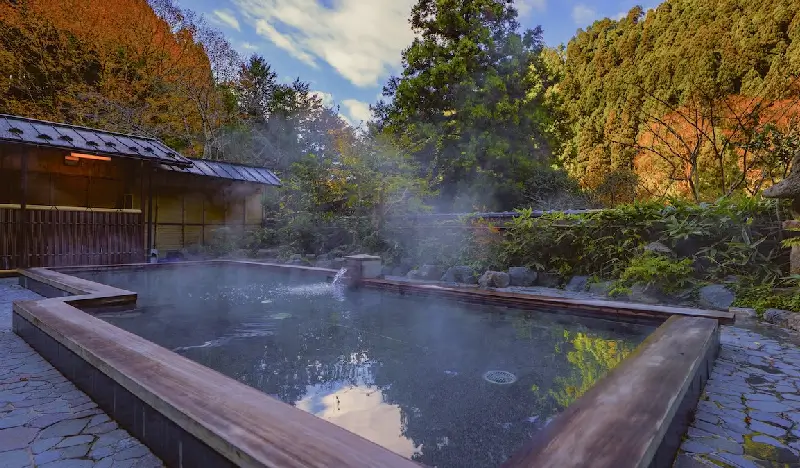 Kurama Onsen Hot Spring Ticket in Kyoto - view 2