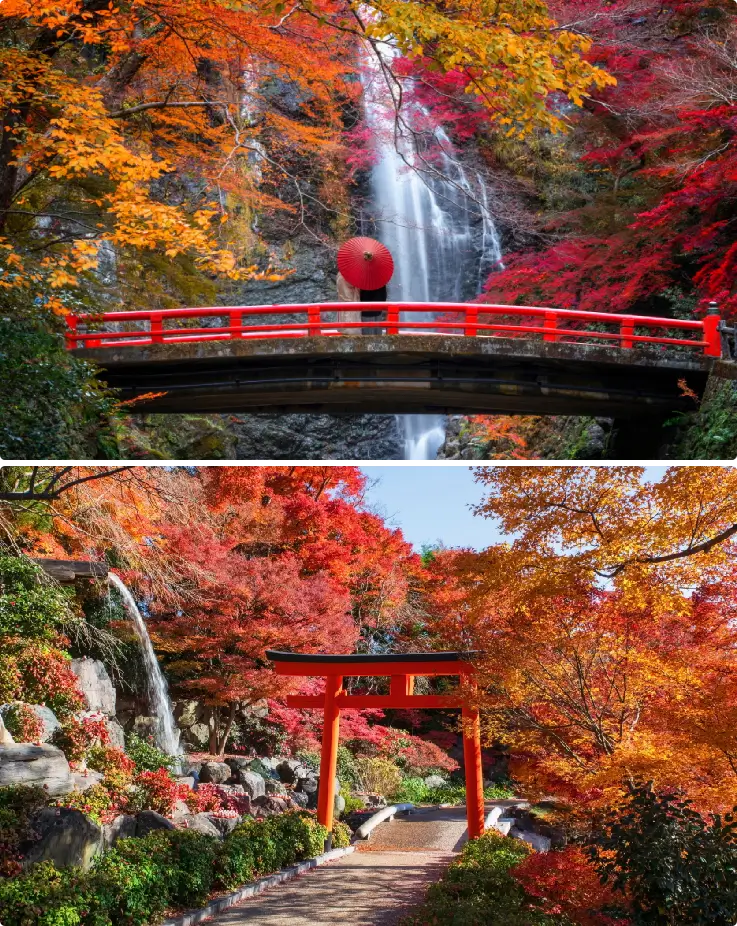 Minoh Falls cascading amid colorful autumn foliage