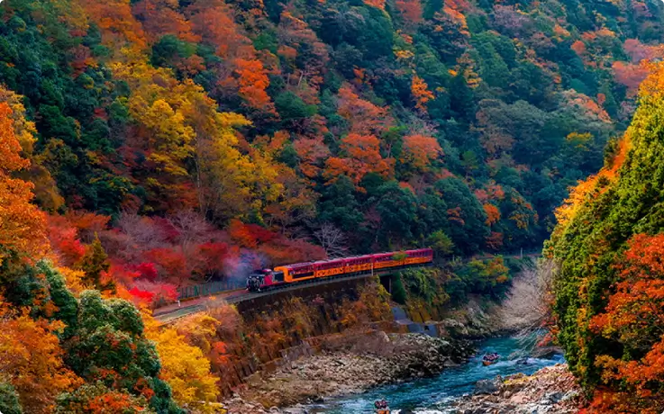 Sagano Romantic Train passing through mountains with autumn leaves