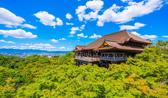 Kyoto Customized Private City Sightseeing 1 Day Tour