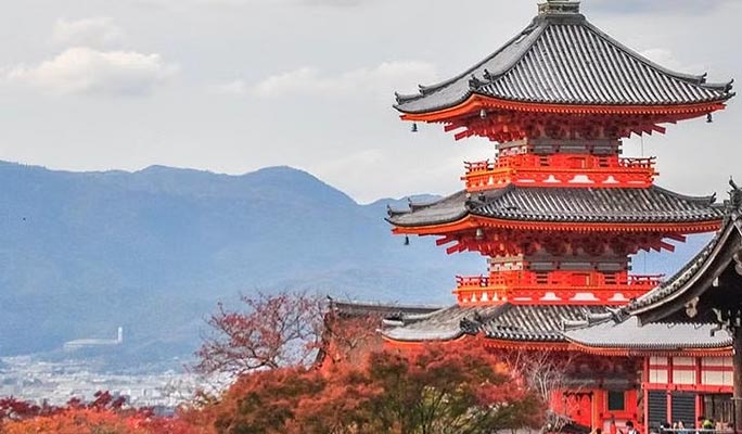 Kyoto Must-See Spots 1 Day Private Tour