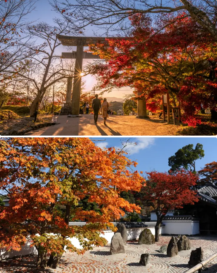 Dazaifu Tenmangu Shrine with autumn foliage in Fukuoka, Japan