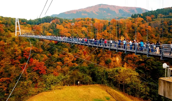 Autumn Special: Yabakei & Kokonoe Yume Bridge & Dazaifu 1 Day Tour from Fukuoka (Oct 27~Dec 5)