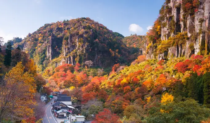 Autumn Special: Yabakei & Kokonoe Yume Bridge & Dazaifu 1 Day Tour from Fukuoka (Oct 27~Dec 5)