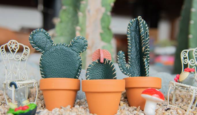 Make Your Own Miniature Cactus Plant Using Leather in Daegu