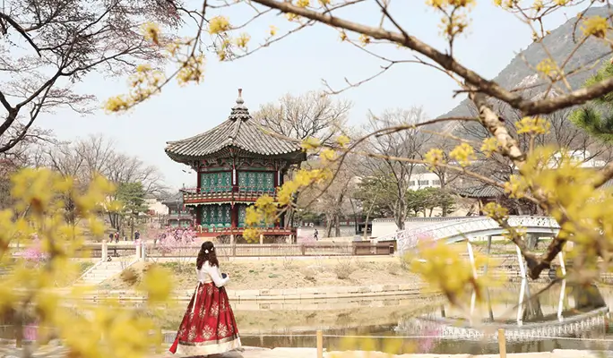 Gyeongbokgung Palace & Bukchon Hanok Village (+ Gwangjang Market Foodie/ Night View) Walking Tour