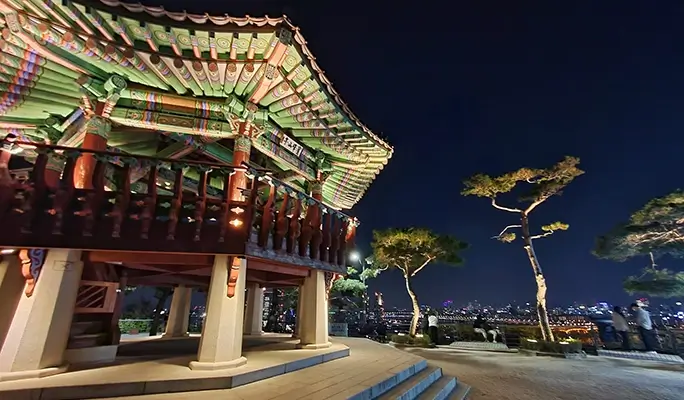 Gyeongbokgung Palace & Bukchon Hanok Village (+ Gwangjang Market Foodie/ Night View) Walking Tour