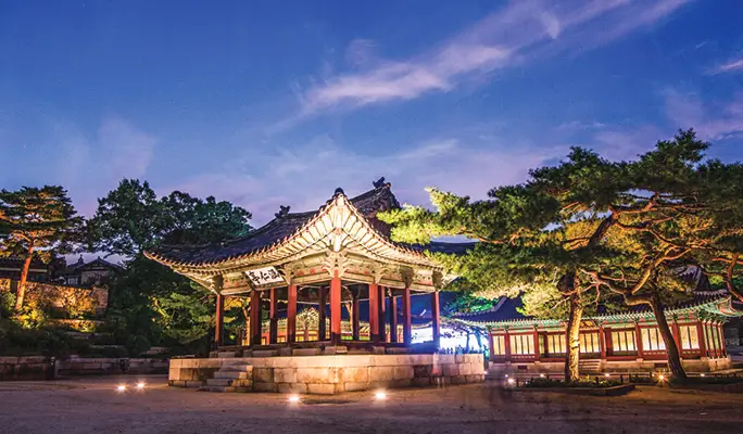 Changgyeonggung Palace (+ Naksan Park/ Gwangjang Market) Night Walking Tour