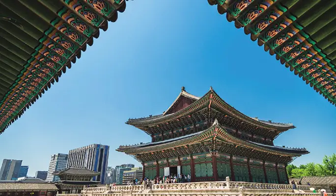Gyeongbokgung Palace & Bukchon Hanok Village (+ Gwangjang Market Foodie/ Night View) Walking Tour