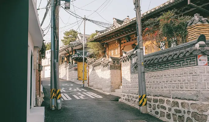 Gyeongbokgung Palace & Bukchon Hanok Village (+ Gwangjang Market Foodie/ Night View) Walking Tour