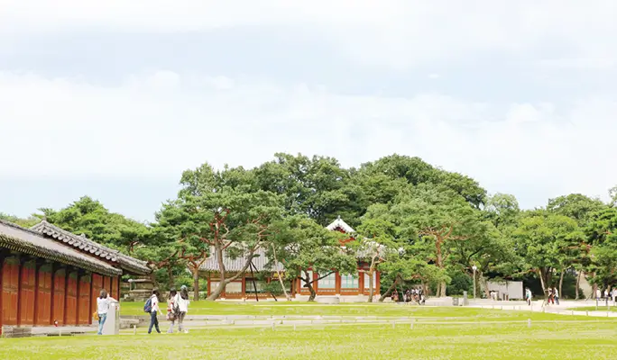 Changgyeonggung Palace (+ Naksan Park/ Gwangjang Market) Night Walking Tour
