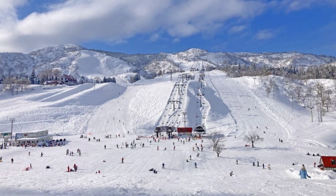 上越國際滑雪場：2 天 1 夜 / 3 天 2 夜雙板滑雪/單板滑雪之旅（東京出發）