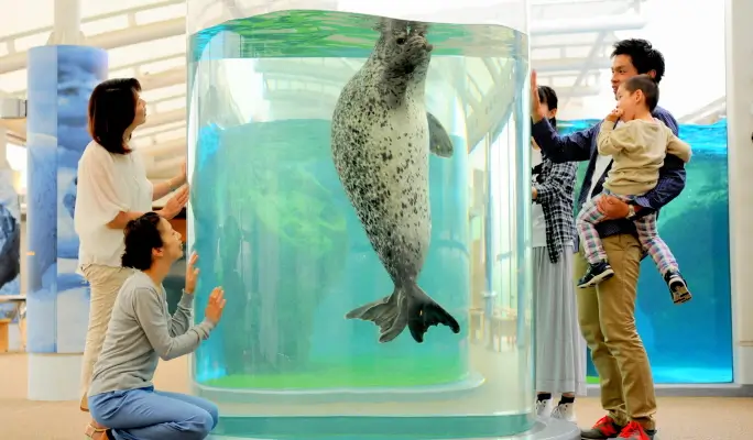 Kyoto Aquarium Admission Ticket