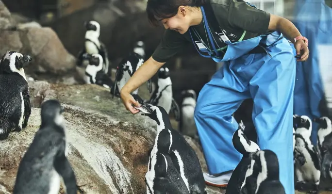 Kyoto Aquarium Admission Ticket