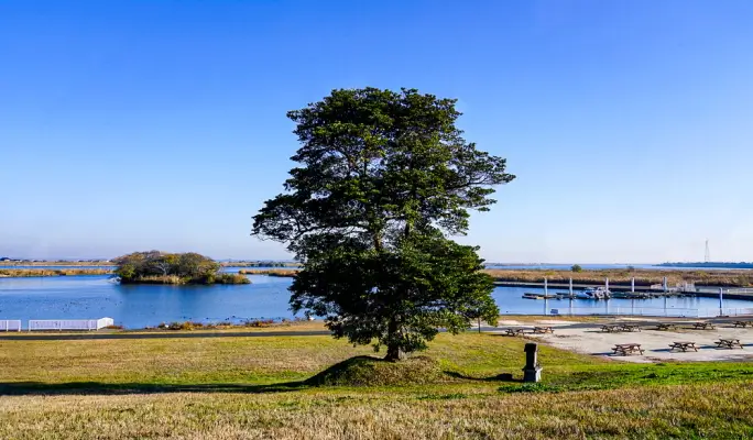 Narita Shinshoji + Sawara Town + Katori Shrine 1 Day Tour (+ Airport drop off option)