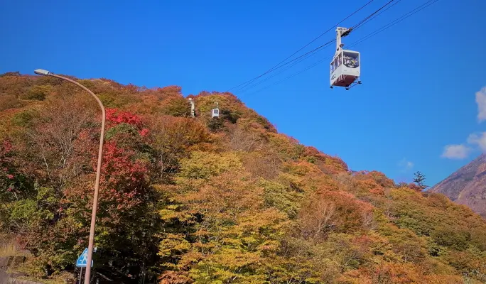 Nikko Akechidaira Ropeway Ticket
