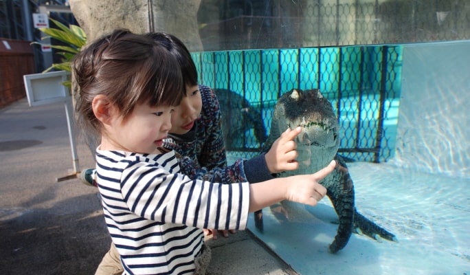 Atagawa Tropical & Alligator Garden Entrance Ticket