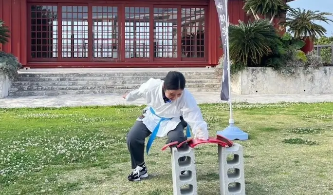 Karate Experience in Okinawa - Break a Tile