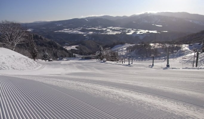Dynaland滑雪場：１日纜車通行證＆接駁巴士套票 大阪出發