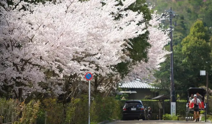 Private Charter Rickshaw Ride in Kyoto Arashiyama - Discover Scenic Beauty with Ebisuya Rickshaw