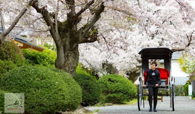 Private Charter Rickshaw Ride in Kyoto Arashiyama - Discover Scenic Beauty with Ebisuya Rickshaw