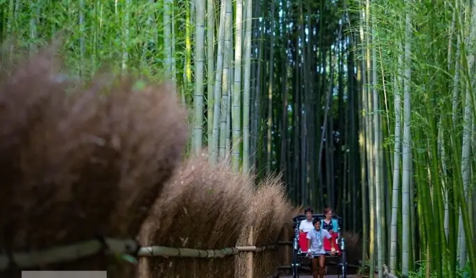 Private Charter Rickshaw Ride in Kyoto Arashiyama - Discover Scenic Beauty with Ebisuya Rickshaw