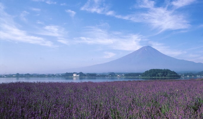 Fuji Hakone Pass Voucher (3-Day Pass)