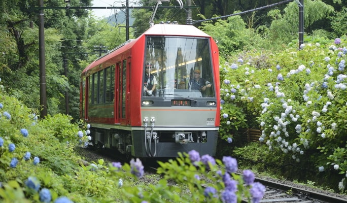 Fuji Hakone Pass Voucher (3-Day Pass)