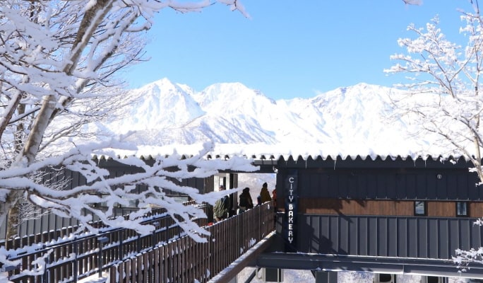 Hakuba Iwatake Snowfield: 1-Day Lift Pass + Equipment/Clothes Rental Package