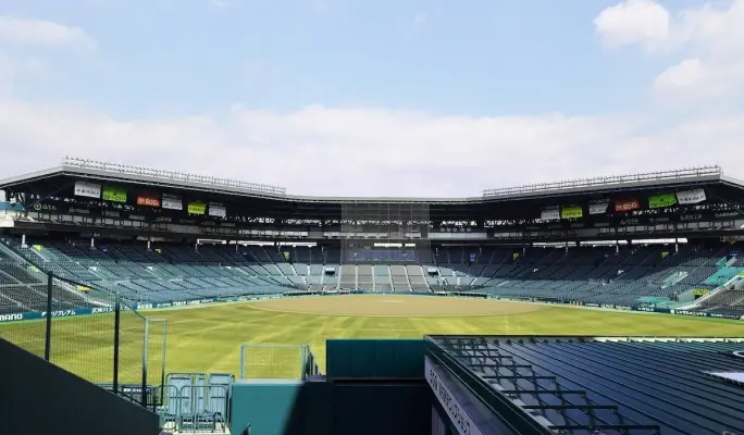 Hanshin Tigers Game & The Museum of Hanshin Koshien Stadium Combo Ticket