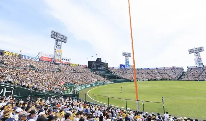 Hanshin Tigers Game & The Museum of Hanshin Koshien Stadium Combo Ticket