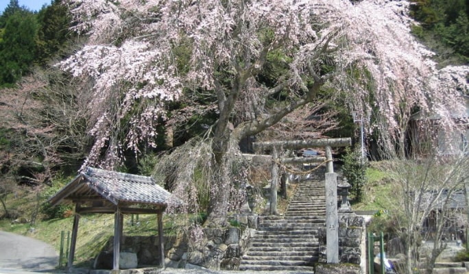 Hida Takayama - Gero Onsen 2-Day Bus Ticket