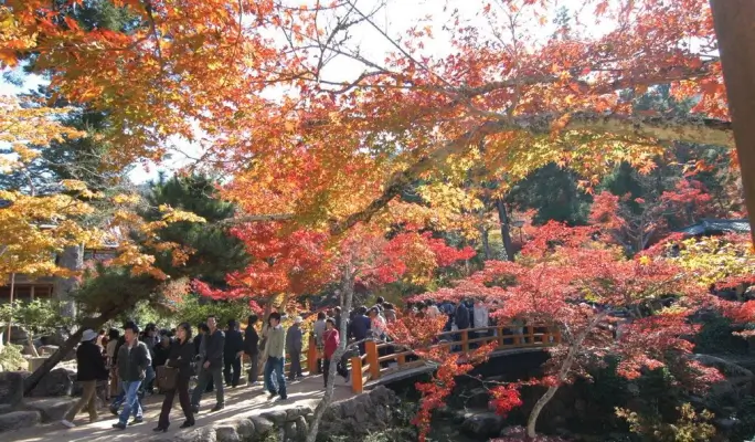Hiroshima and Miyajima 1 Day Tour from Fukuoka, Osaka and Kyoto