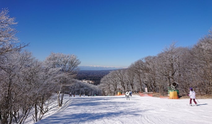Karuizawa Prince Hotel Ski Resort: 1-Day Lift Pass + Equipment Rental Package