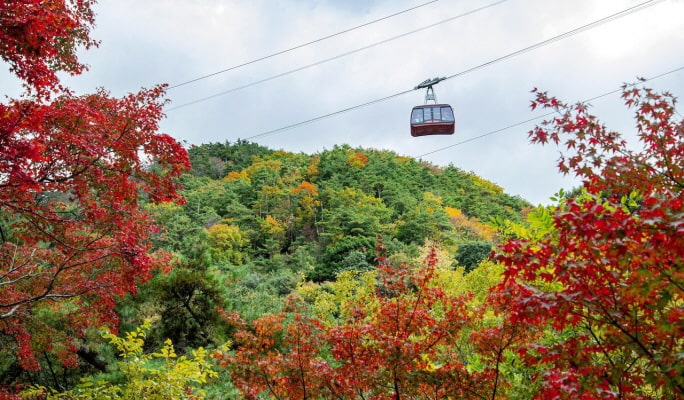 Kobe Tourism Smart Passport  Premium (1 or 2-Day Pass)